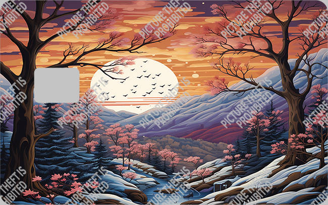 Bank  Card Sticker-BC-2242